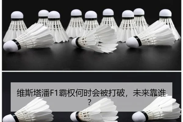 维斯塔潘F1霸权何时会被打破，未来靠谁？